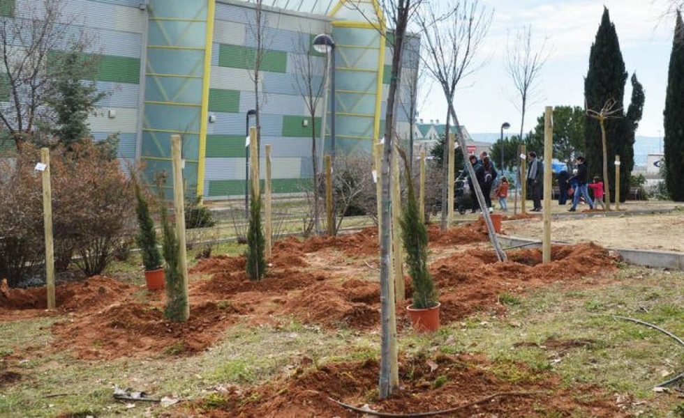 En Azuqueca de Henares se planta un árbol por cada bebé que nace