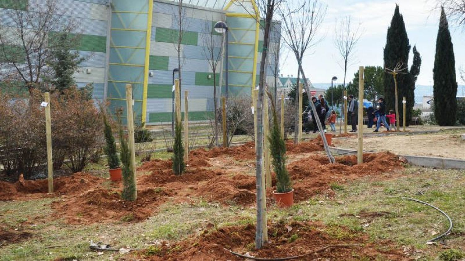 En Azuqueca de Henares se planta un árbol por cada bebé que nace