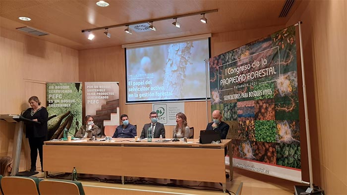 PEFC celebra la Semana Forestal Europea hablando del futuro de los bosques