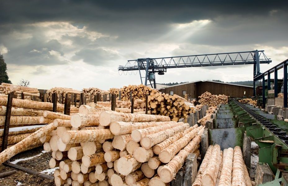 El sector maderero se consolida como industria de referencia para abanderar  la transición energética - Madera sostenible es un periódico digital para  la industria española de la madera y el mueble