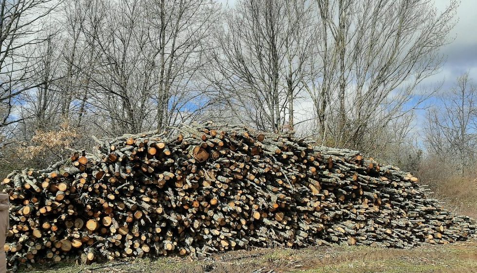 Los productos de madera son una herramienta eficaz para luchar contra el cambio climático