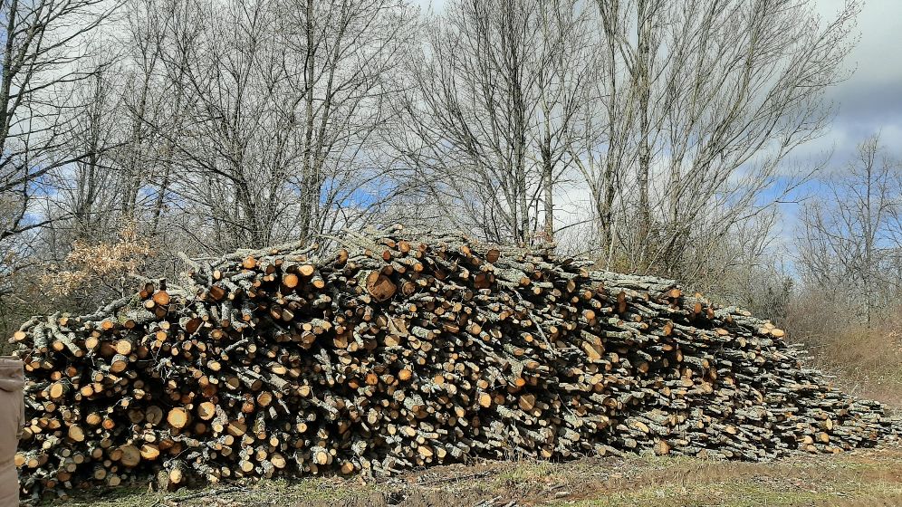 Los productos de madera son una herramienta eficaz para luchar contra el cambio climático