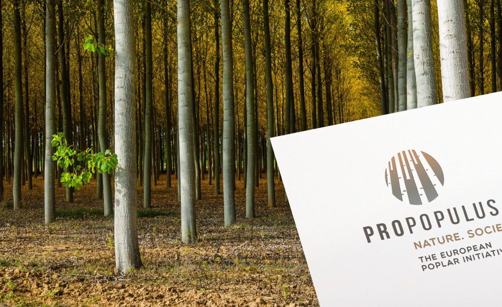 ProPopulus organiza la conferencia «Treeconomics. La madera en una economía sostenible»