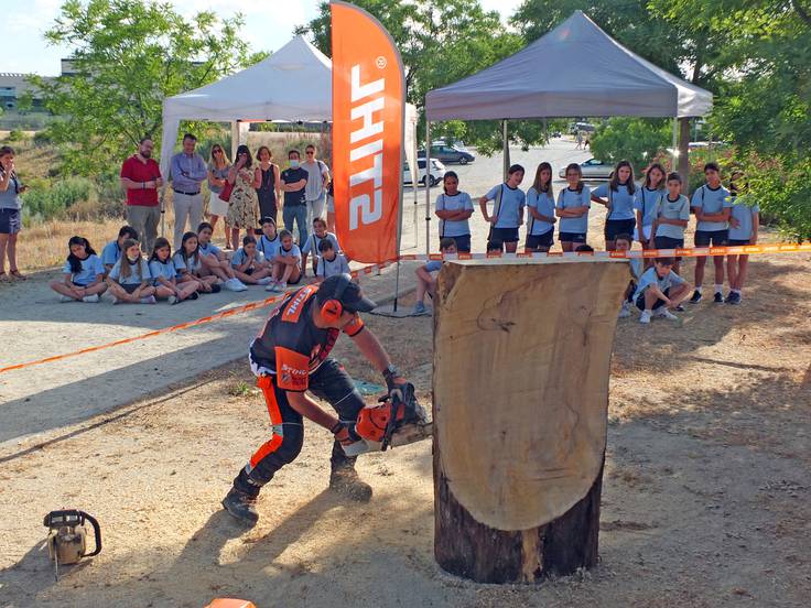 Los parques infantiles de Paracuellos de Jarama tendrán esculturas talladas en madera