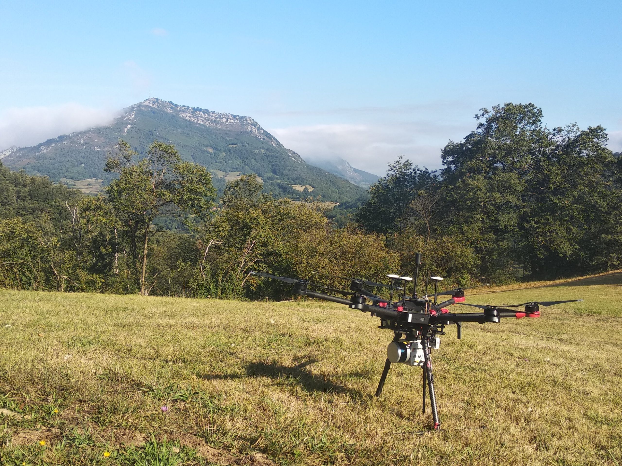 Los drones al servicio de los bosques