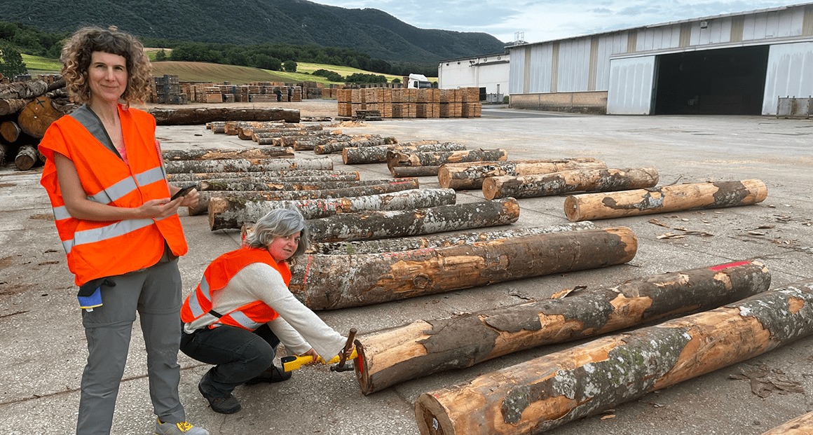 MADERAS GAMIZ se interesa por los resultados del Grupo Operativo FAGUS