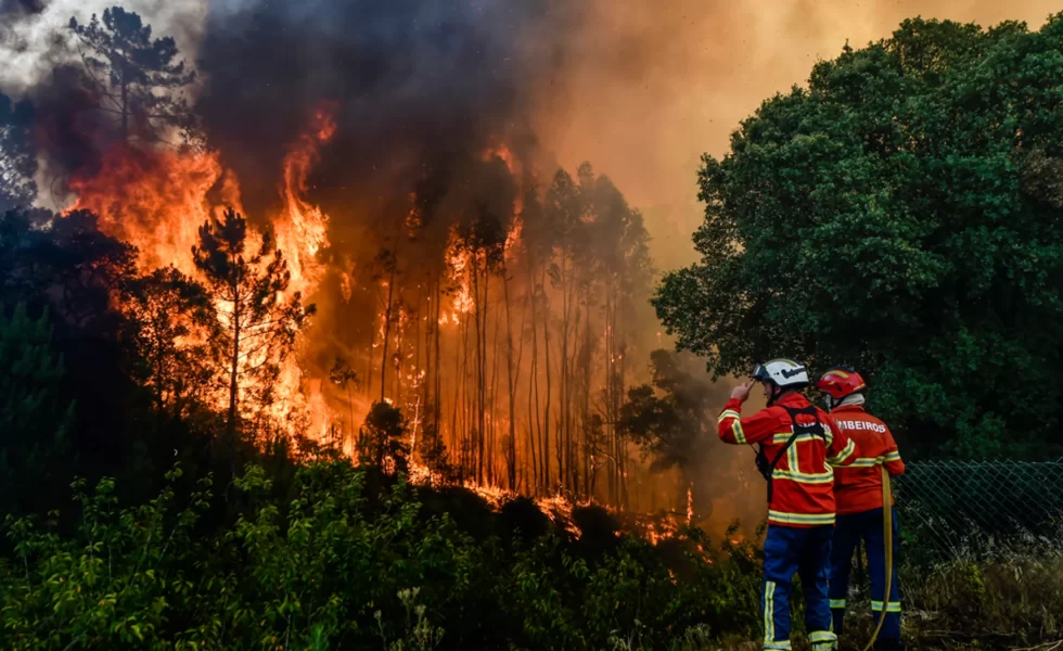 Se rompe el consenso en la gestión de los incendios forestales