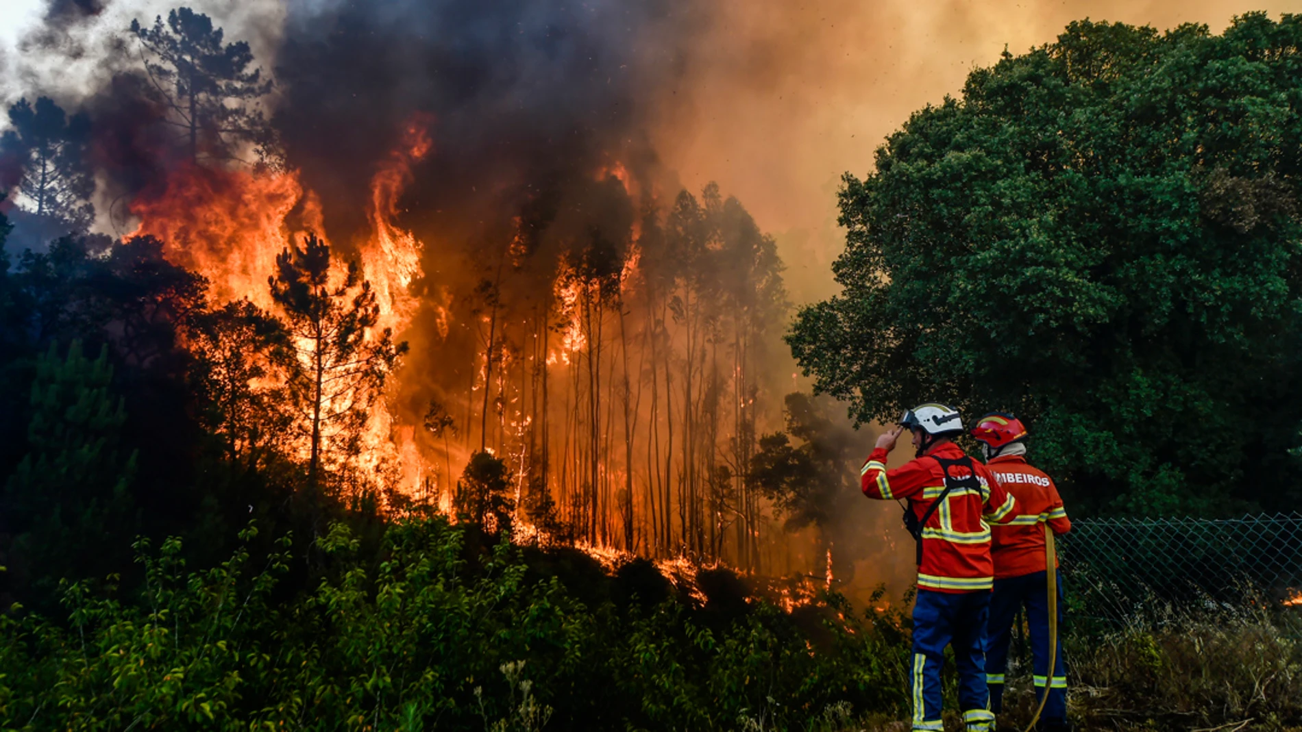 Se rompe el consenso en la gestión de los incendios forestales