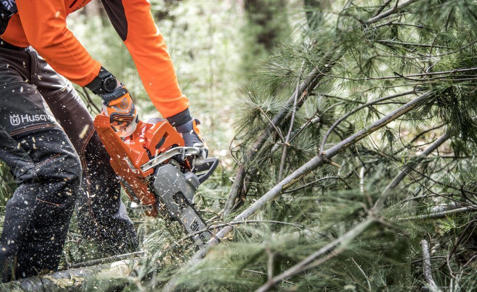 FEARMAGA contratará en Perú profesionales para cubrir necesidades de las empresas forestales y los aserraderos