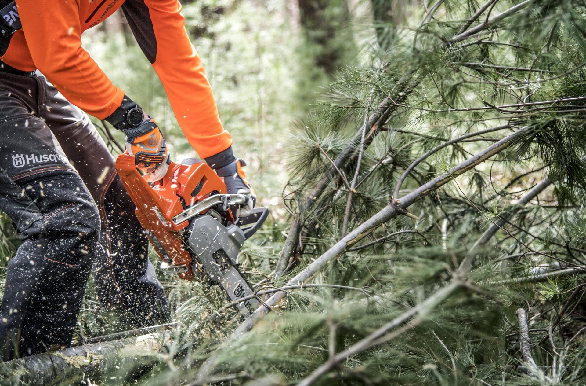 FEARMAGA contratará en Perú profesionales para cubrir necesidades de las empresas forestales y los aserraderos