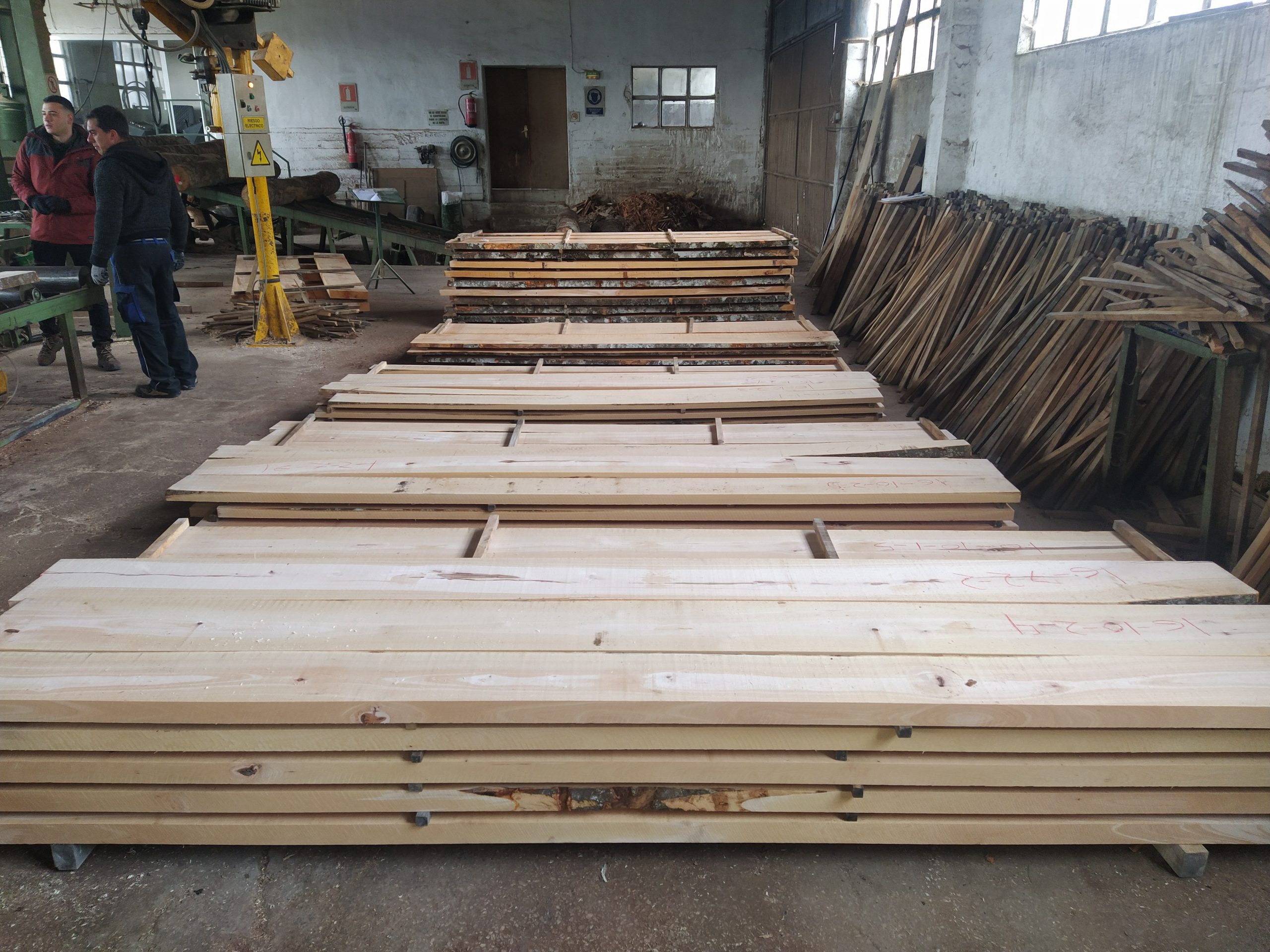CETEMAS avanza en el estudio de rendimientos industriales y calidades de madera de haya 
