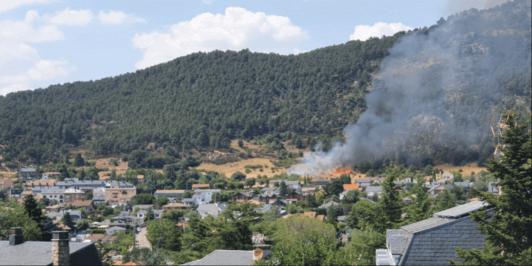 Después del fuego ¿qué? 