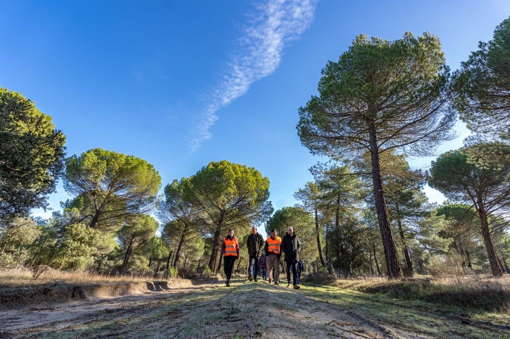 El monte público de Mohago recibe ayudas para regenerarse