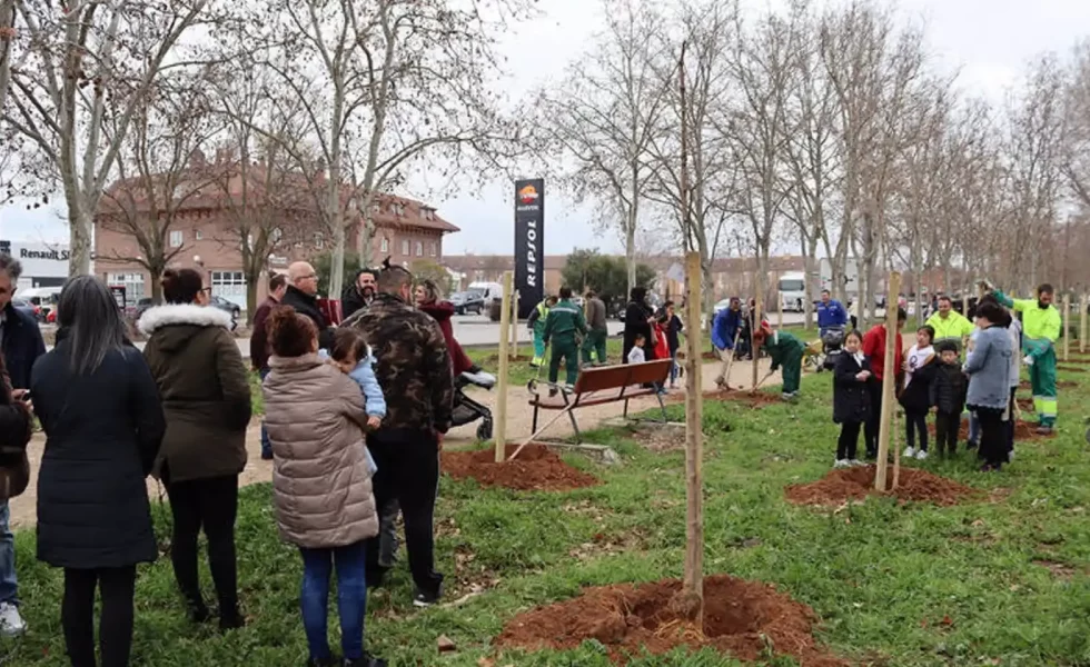 Azuqueca de Henares planta un centenar de nuevos ejemplares de pinos y almeces