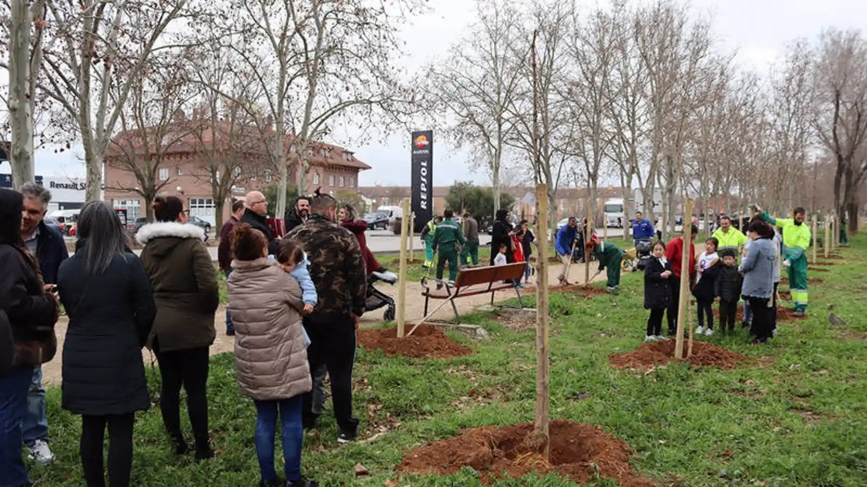 Azuqueca de Henares planta un centenar de nuevos ejemplares de pinos y almeces