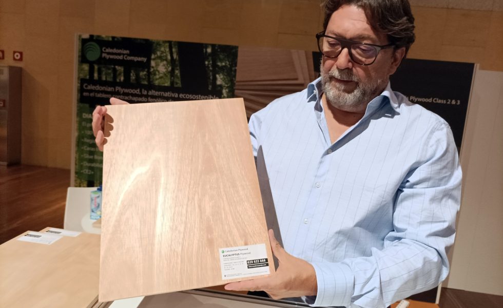 GAVEJO ofrece tableros contrachapados fenólicos de eucalipto para uso estructural