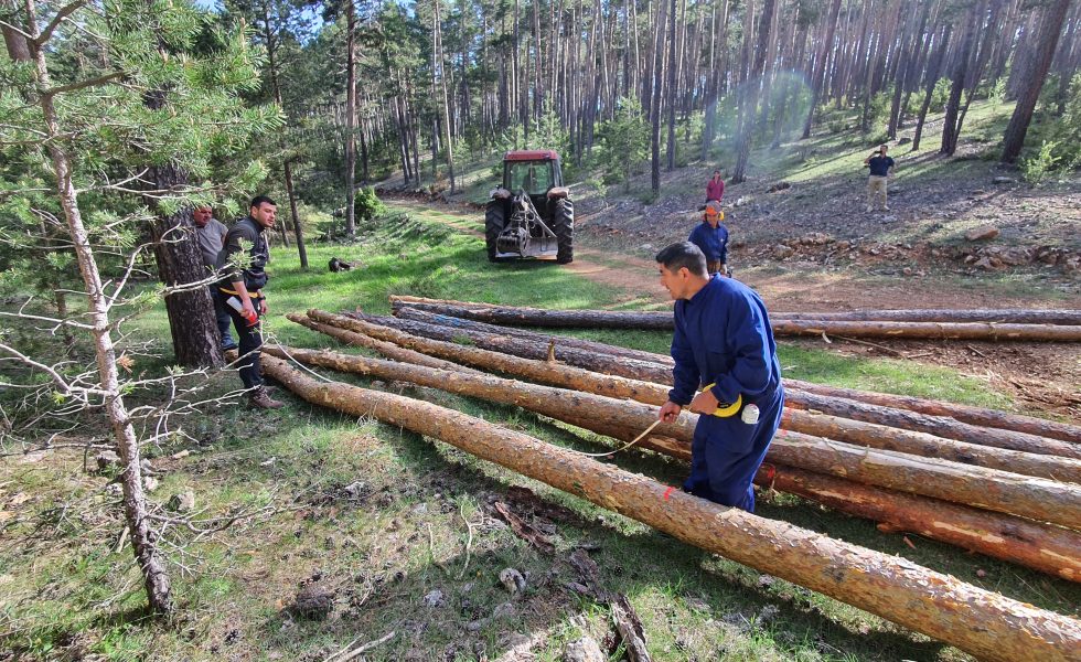 La modernización del sector forestal en los Montes Universales-Alto Tajo es posible