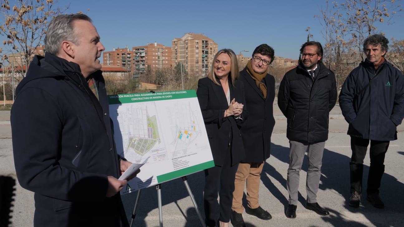 Programado en Granada el primer edificio de madera de chopo