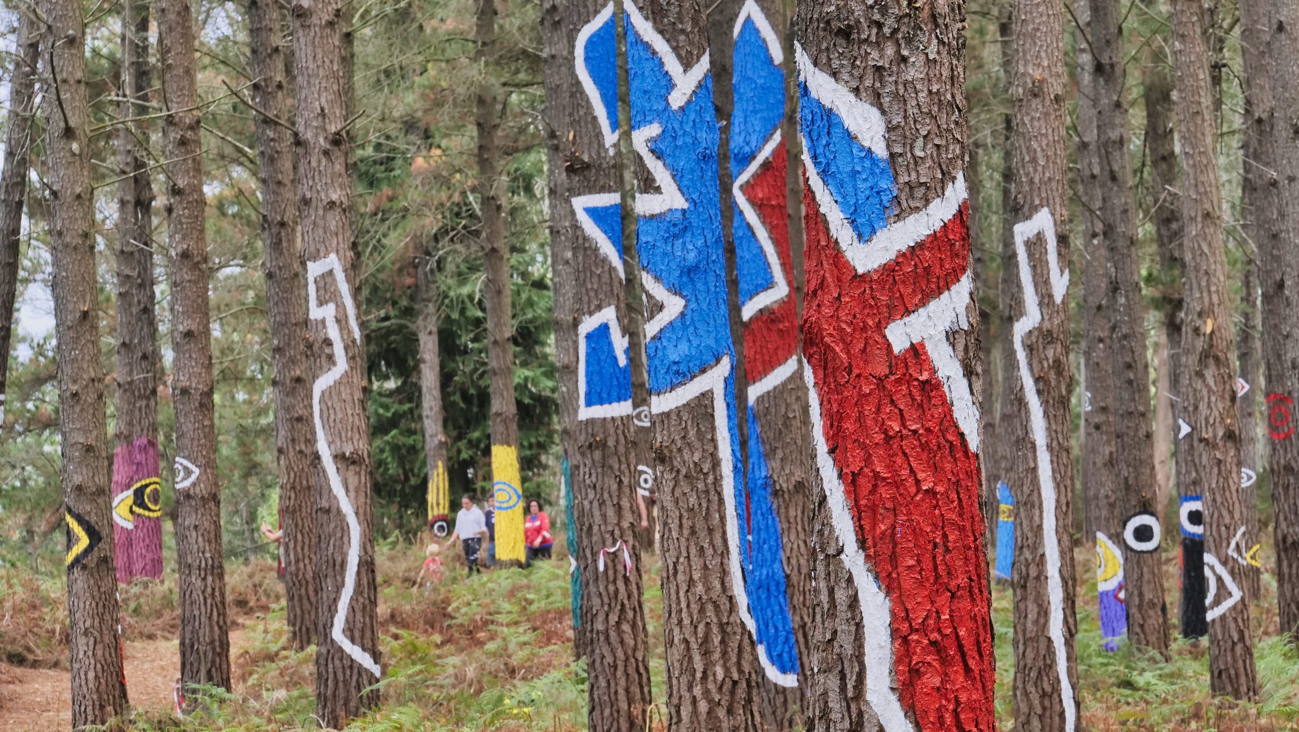 El Bosque de Oma abrirá al público en octubre con más de 800 árboles pintados