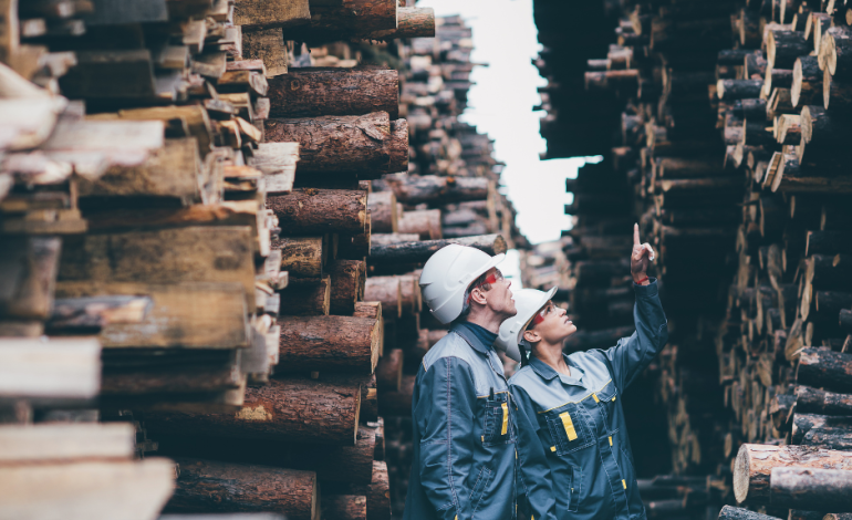 Fundación COPADE reivindica la importancia de consumir madera certificada