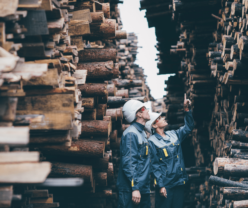 COPADE contribuye a la importación de madera sostenible desde América