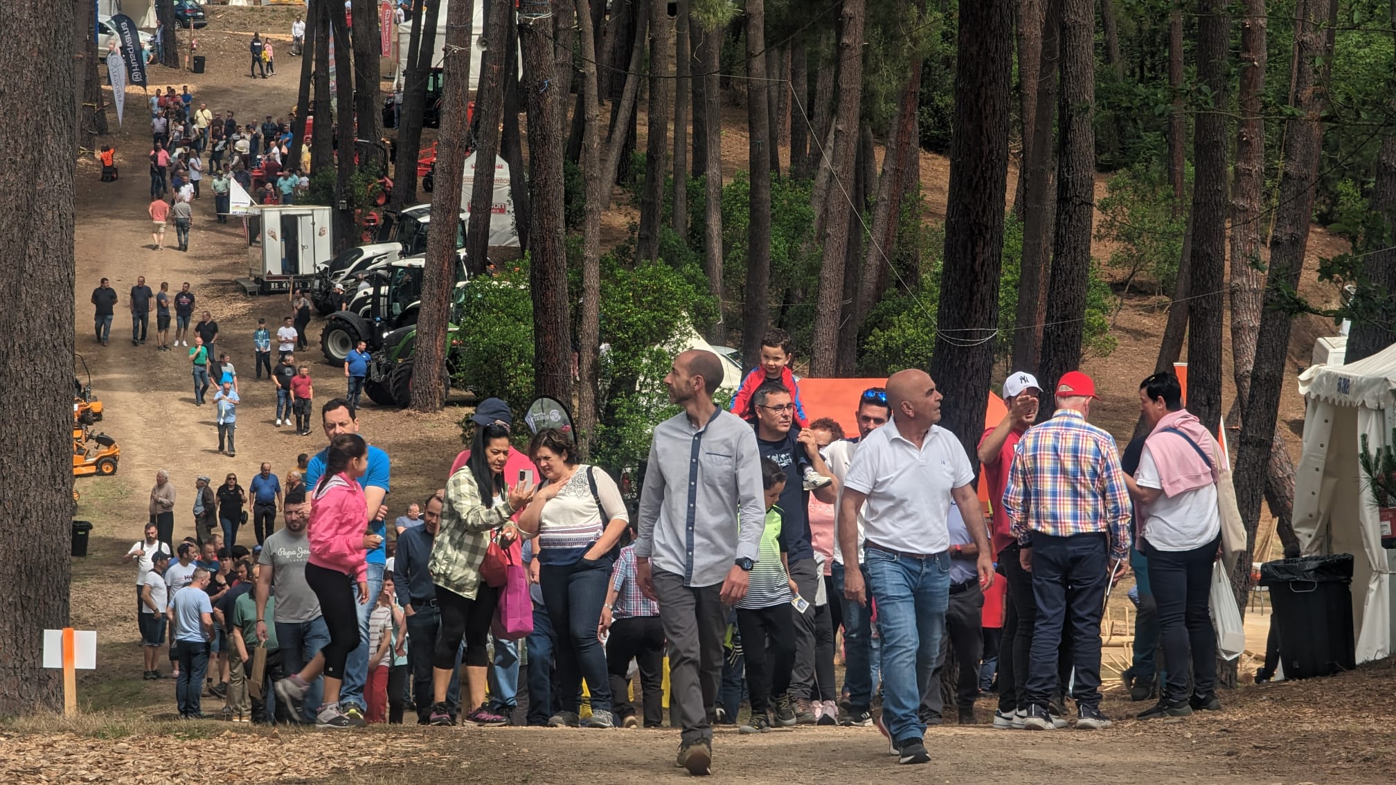 Semana Forestal de Asturias, del 16 al 21 de junio de 2025