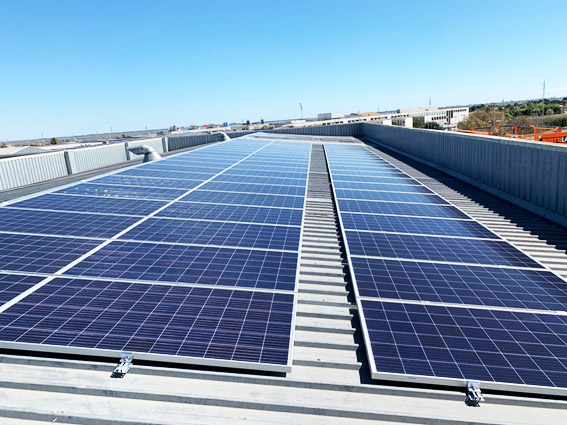 TALASUR Group instala placas solares en su planta industrial