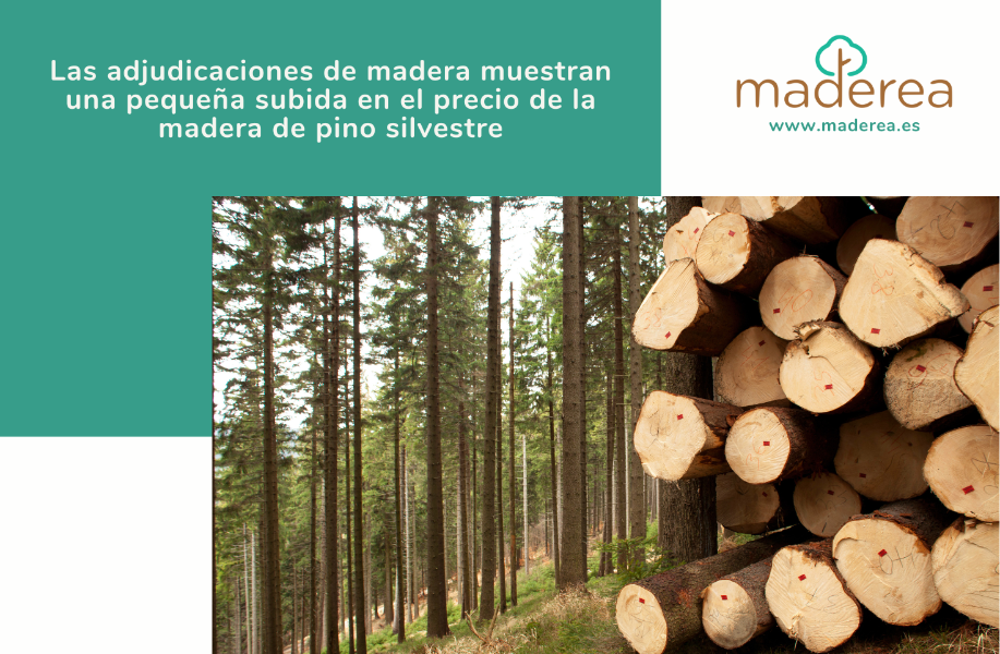 Las adjudicaciones de madera muestran una pequeña subida en el precio de la madera de pino silvestre