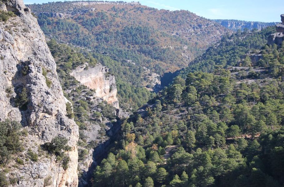 Primera asociación de montes privados en Castilla-La Mancha bajo la certificación FSC