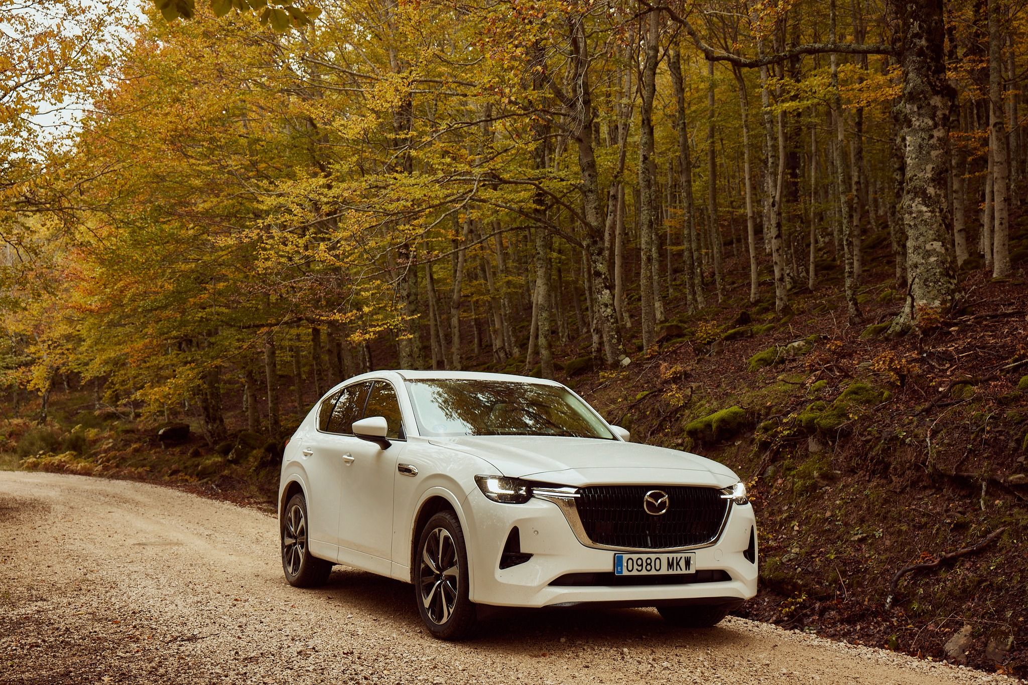 MAZDA España inicia su proyecto para alcanzar la neutralidad de carbono