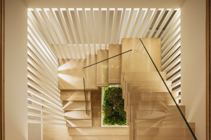 La escalera del olivo, corazón del dúplex de ASCOZ Arquitectura en Valencia