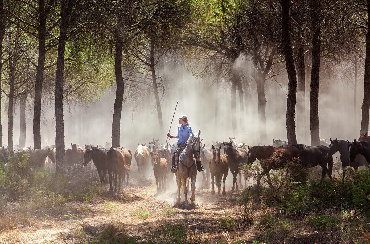 PEFC otorga el premio a la mejor fotografía de Sostenibilidad del concurso Fotoparques 2023