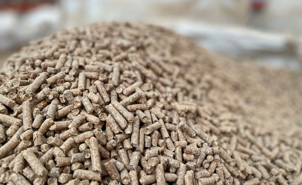 Aumentan la producción y consumo de pellet en España en 2022 y 2023