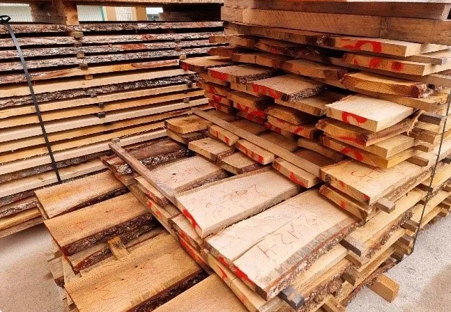 Obtienen la primera madera de duela para fabricar barricas dentro del proyecto LIFE+REB