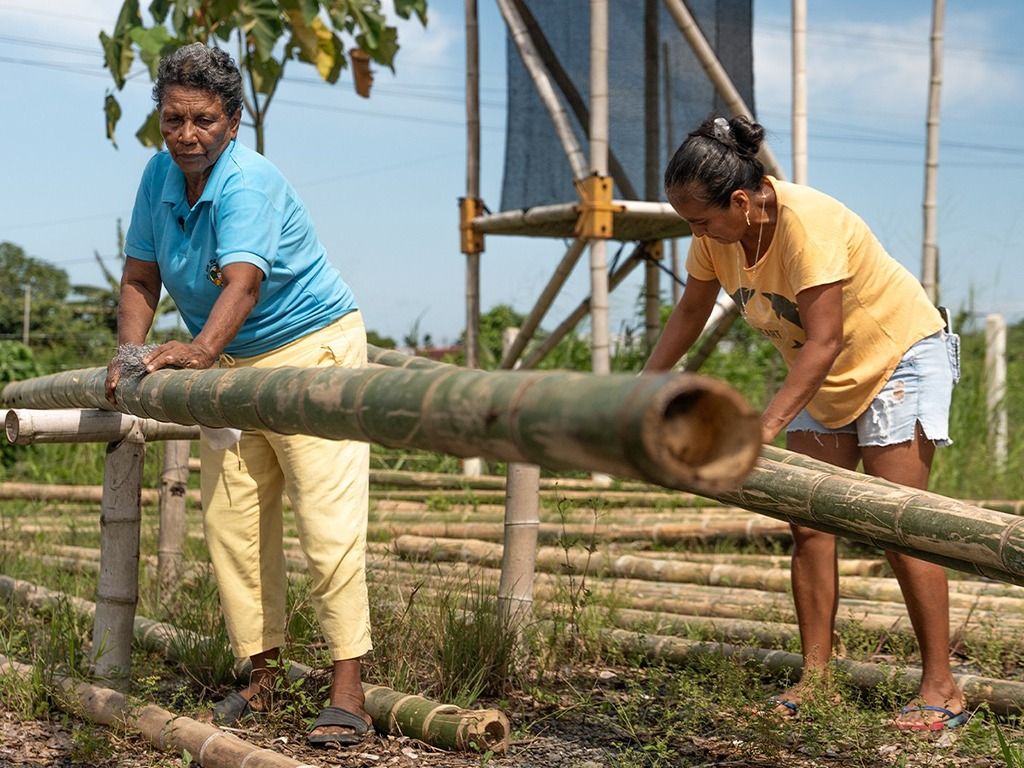 Las acciones de COPADE han beneficiado a más de 45 mil personas a lo largo del 2023