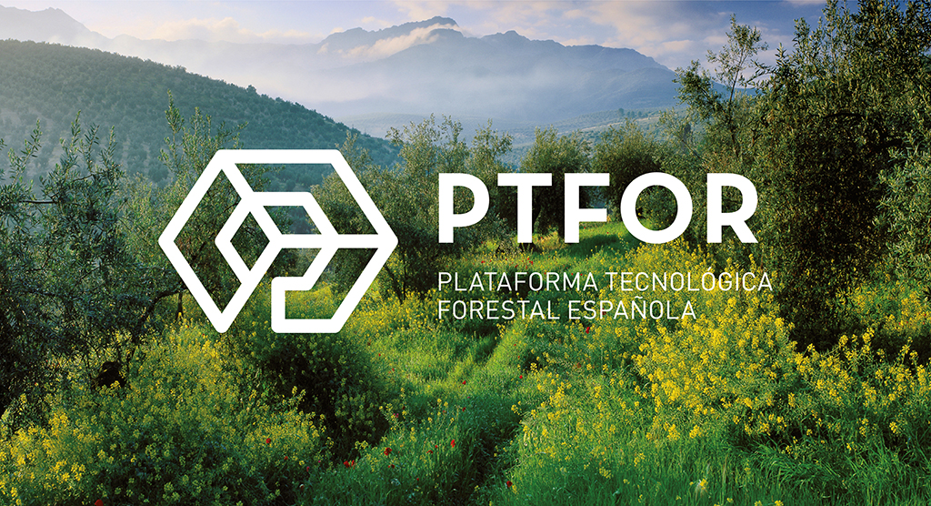 PTFOR: Plataforma Tecnológica Forestal Española y sus Industrias Derivadas
