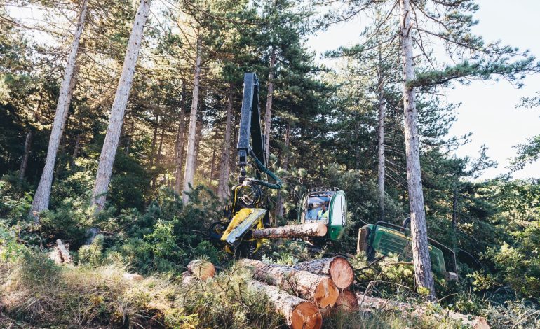 Las empresas vascas de aprovechamiento y trabajos forestales invierten 18 millones de euros en los últimos cinco años