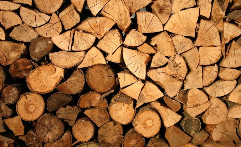 Optimización del uso de energía en la producción de madera