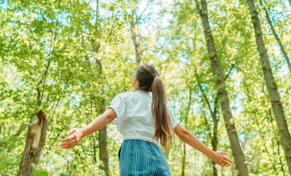 Comienza una nueva era para los bosques europeos