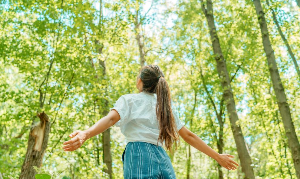 Comienza una nueva era para los bosques europeos