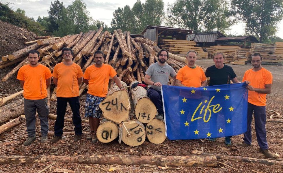 La madera de chopo español, oficialmente reconocida como madera estructural por los comités de normalización