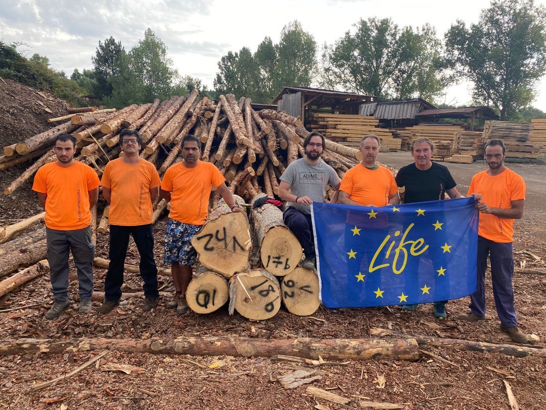 La madera de chopo español, oficialmente reconocida como madera estructural por los comités de normalización