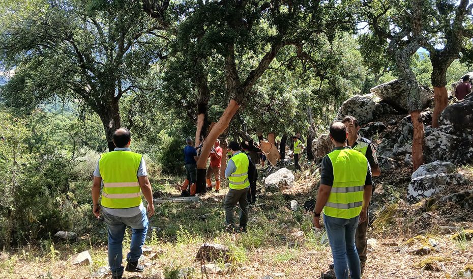 Andalucía revalida la certificación en gestión forestal sostenible en 60.433 hectáreas de monte público