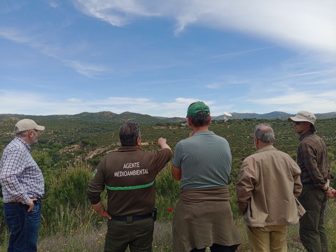 Unas 40.000 ha de montes públicos de Castilla y León tienen certificación FSC