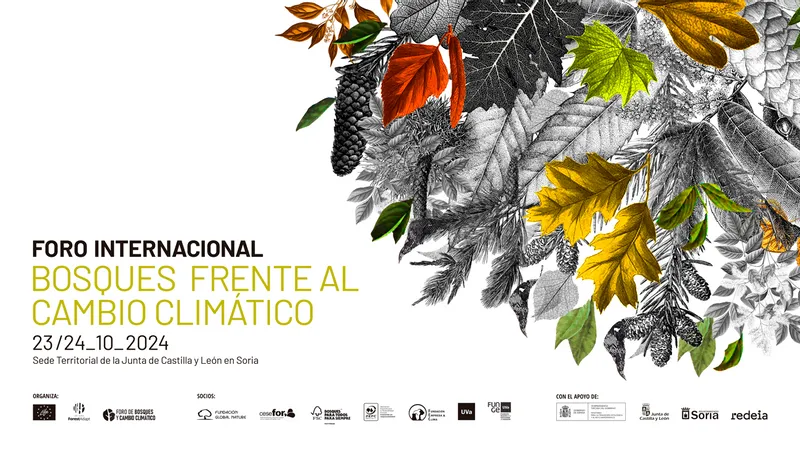 Soria alberga un evento único sobre el futuro de los bosques