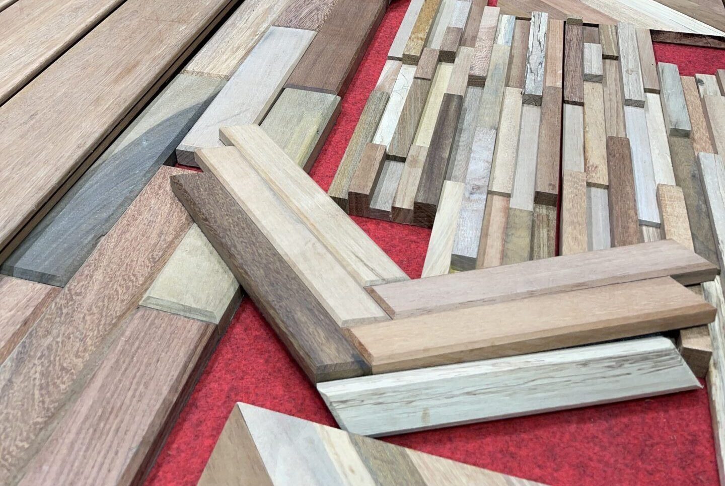COPADE presenta en REBUILD iniciativas para la innovación forestal sostenible
