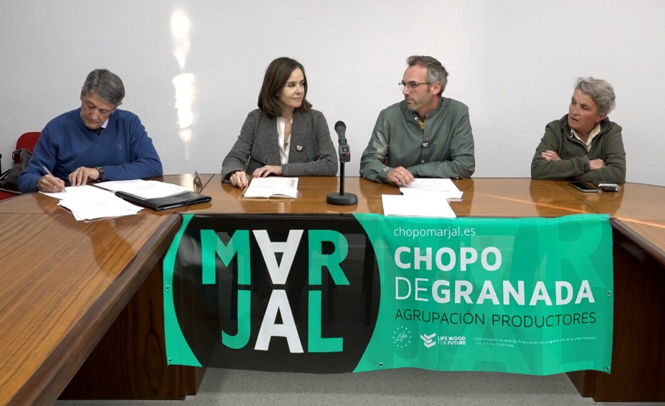 Adjudican en Granada por más de 500.000 euros madera de chopo con certificación ambiental