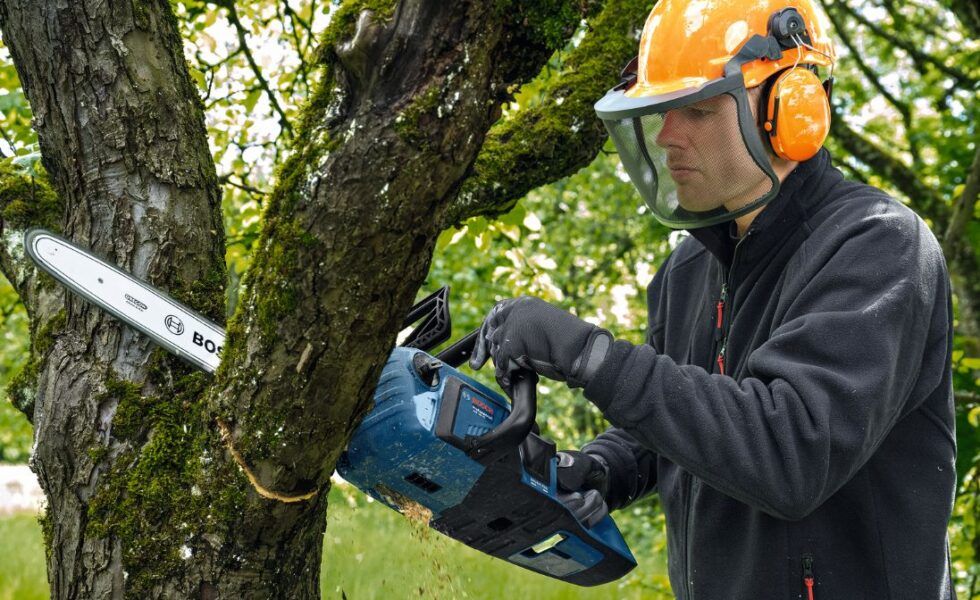 BOSCH Professional apuesta por la poda invernal para reducir hasta en un 70% las infecciones causadas por plagas