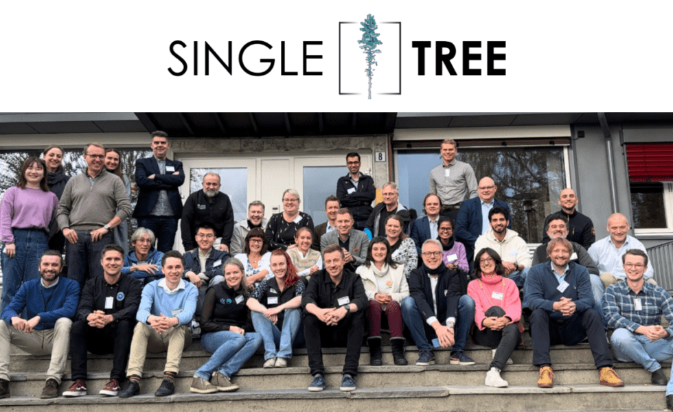 CESEFOR impulsa la digitalización forestal en Castilla y León con el Proyecto SingleTree