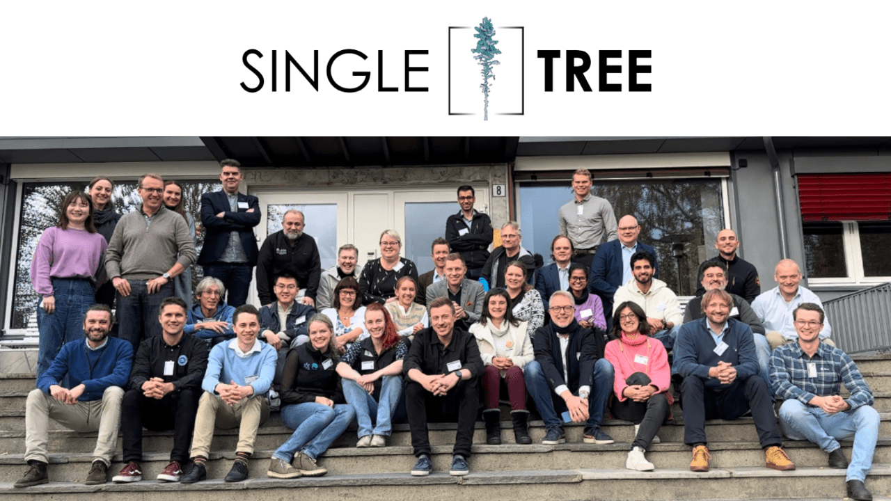 CESEFOR impulsa la digitalización forestal en Castilla y León con el Proyecto SingleTree